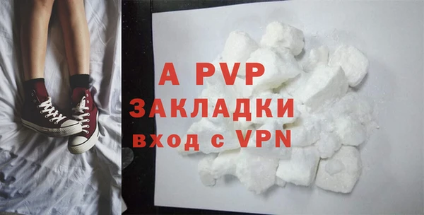 стаф Алзамай