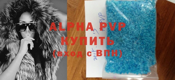 стаф Алзамай