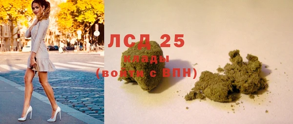 стаф Алзамай