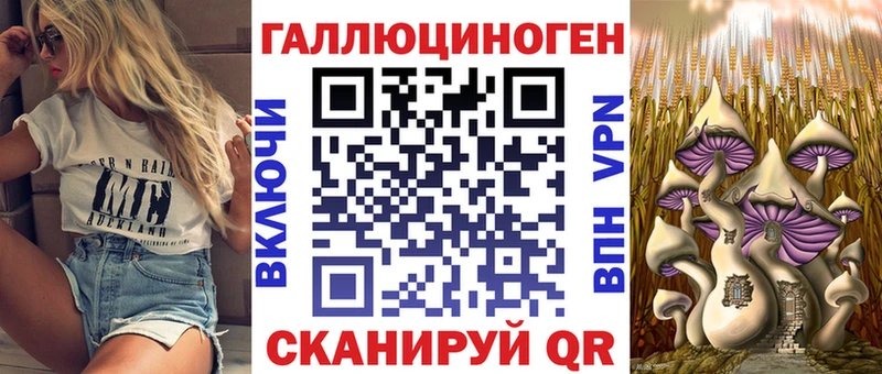 Купить  Каневская  Псилоцибиновые грибы Psilocybine cubensis 